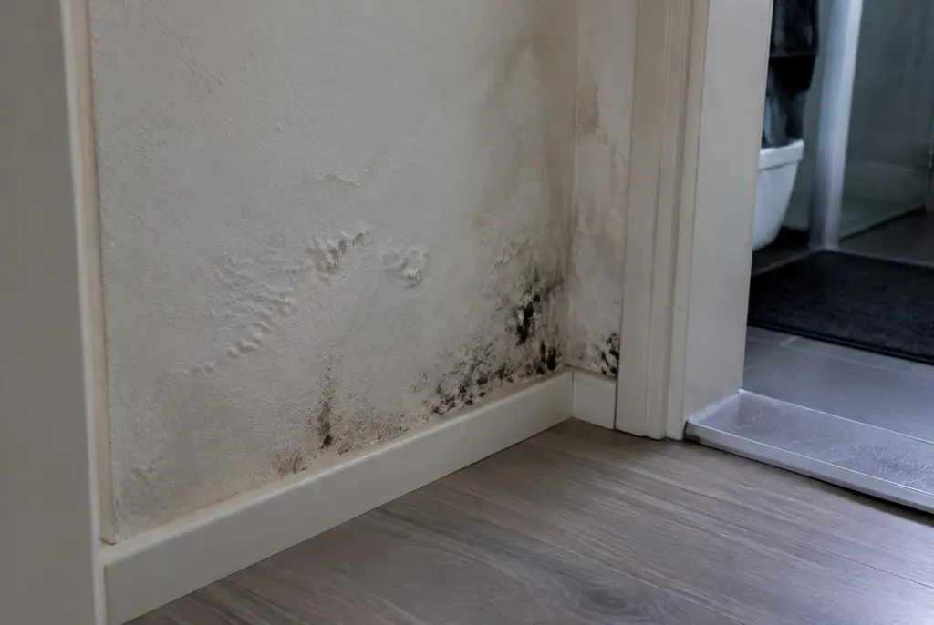 Lekdetectie Oldenzaal – vochtplek met schimmel op een muur